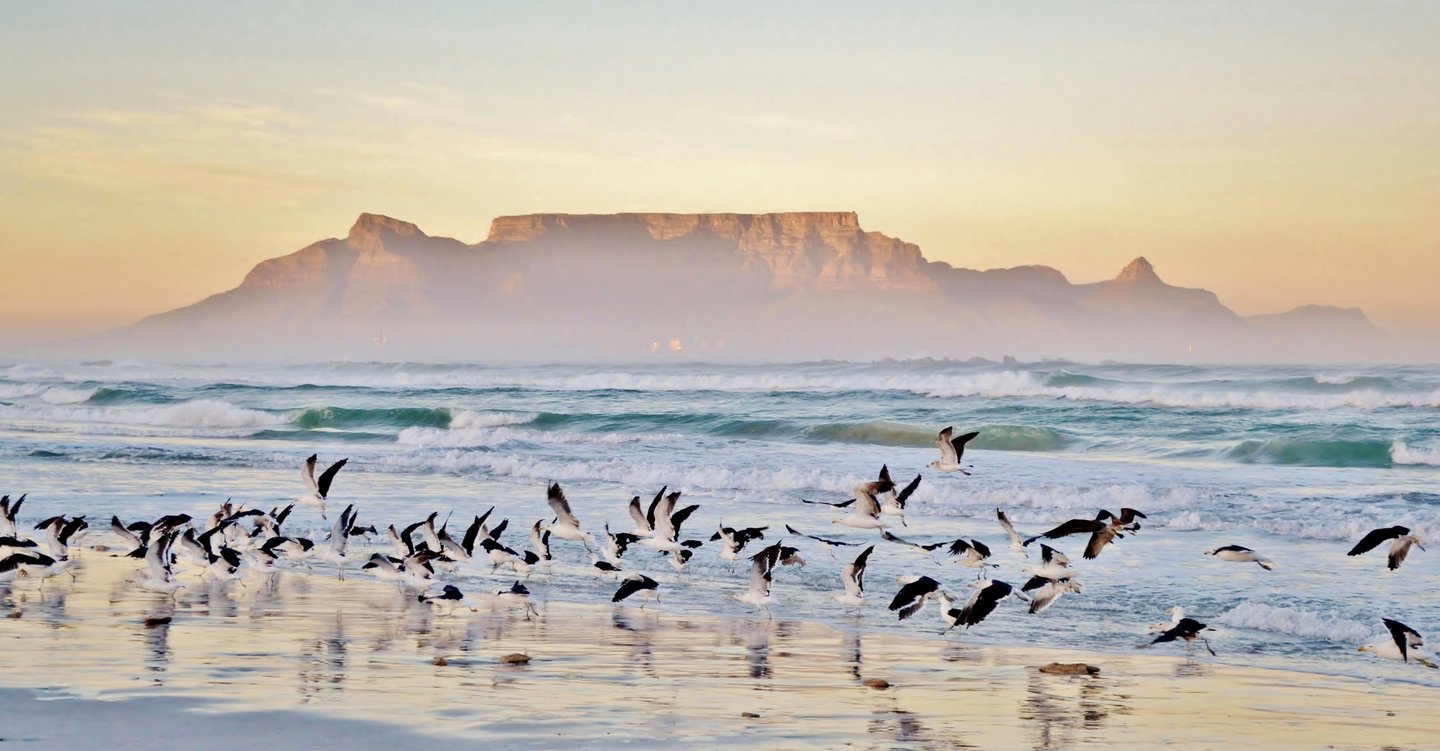 Mietwagenreise durch Südafrika zur Walsaison