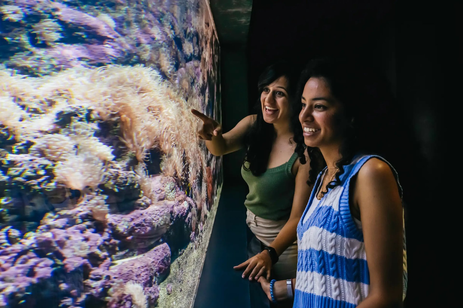  Eintrittskarte ins CRETAquarium (Heraklion) 