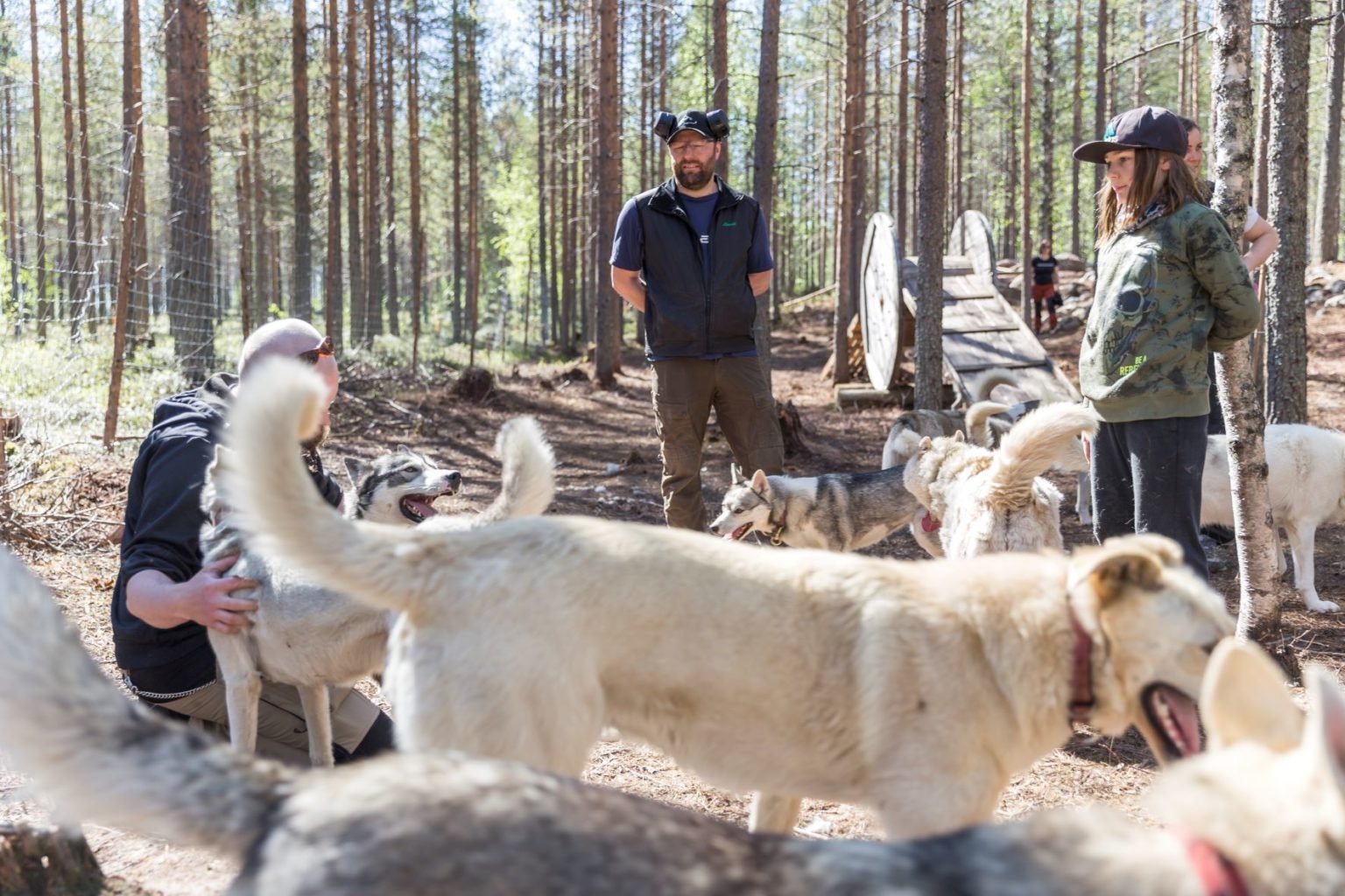 Besuch einer Husky-Farm mit Kennenlernen der Tiere