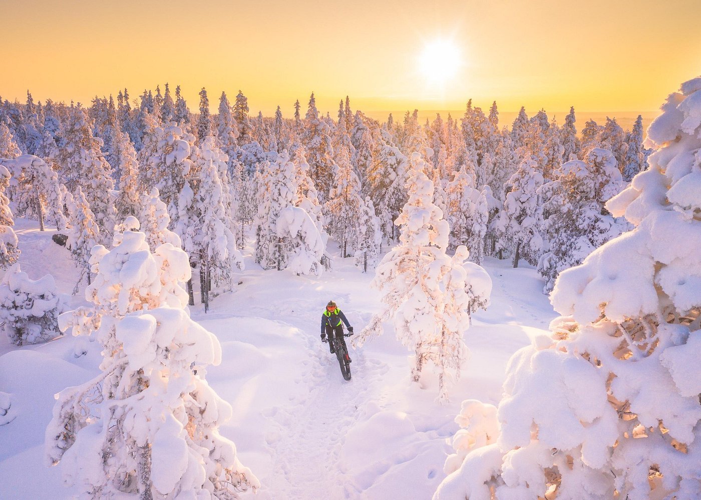 Private elektronische Fatbike-Fahrradtour