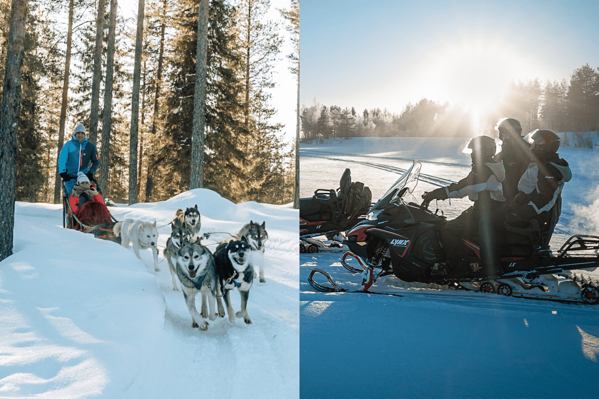 Husky-Safari & Schneemobiltour in der Kleingruppe