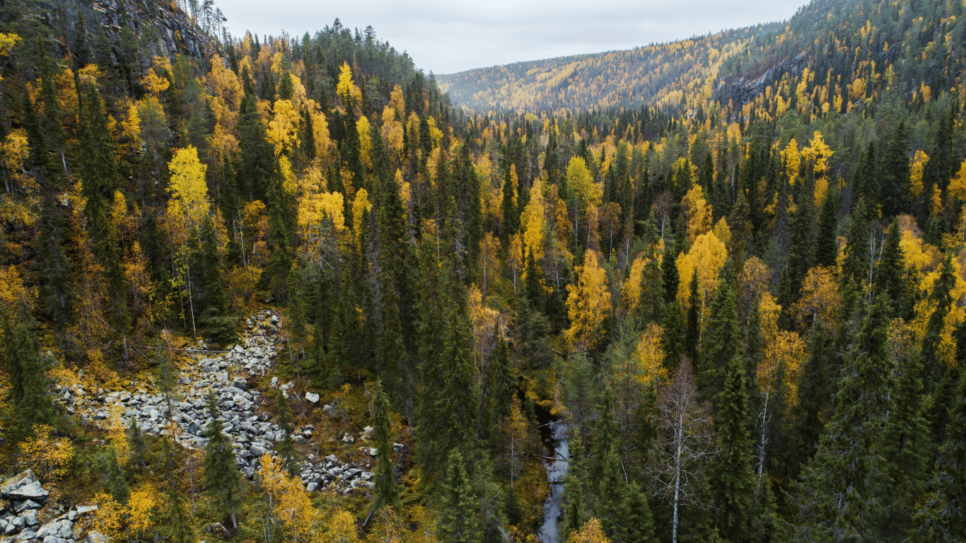 Ausflug zum Naturschutzgebiet Korouoma