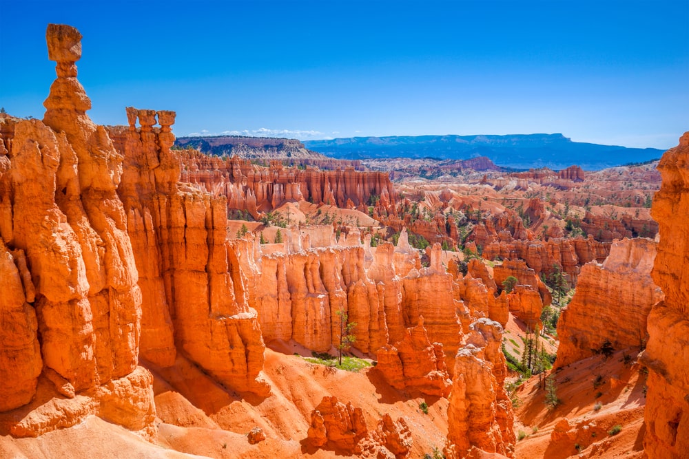 Tagestour: Bryce Canyon &  Zion Nationalpark (ab Las Vegas)