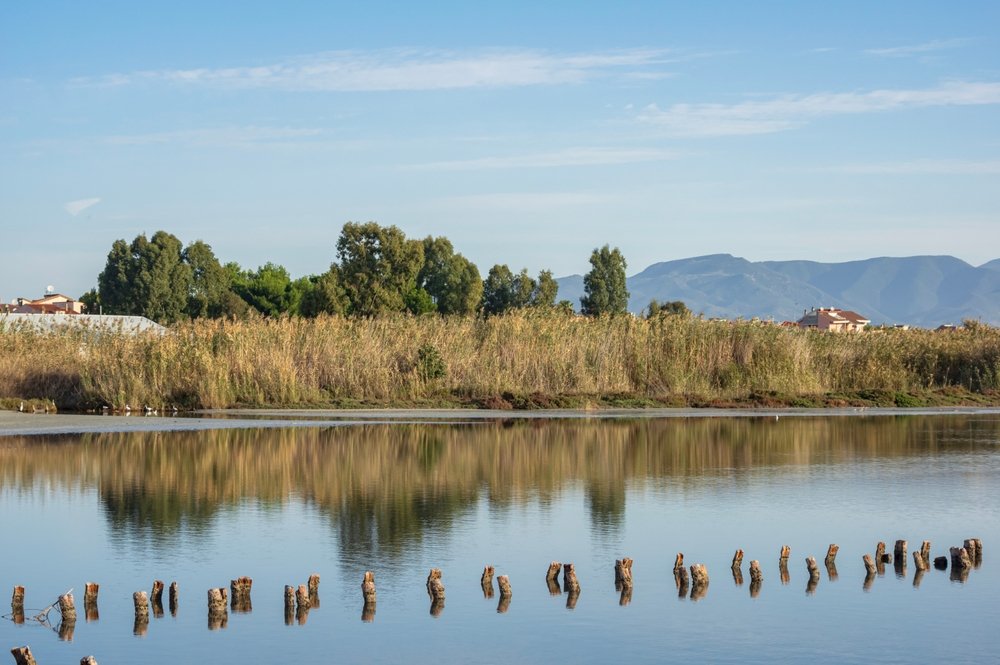 Segway-Tour durch den Naturpark Molentargius (ab Cagliari)