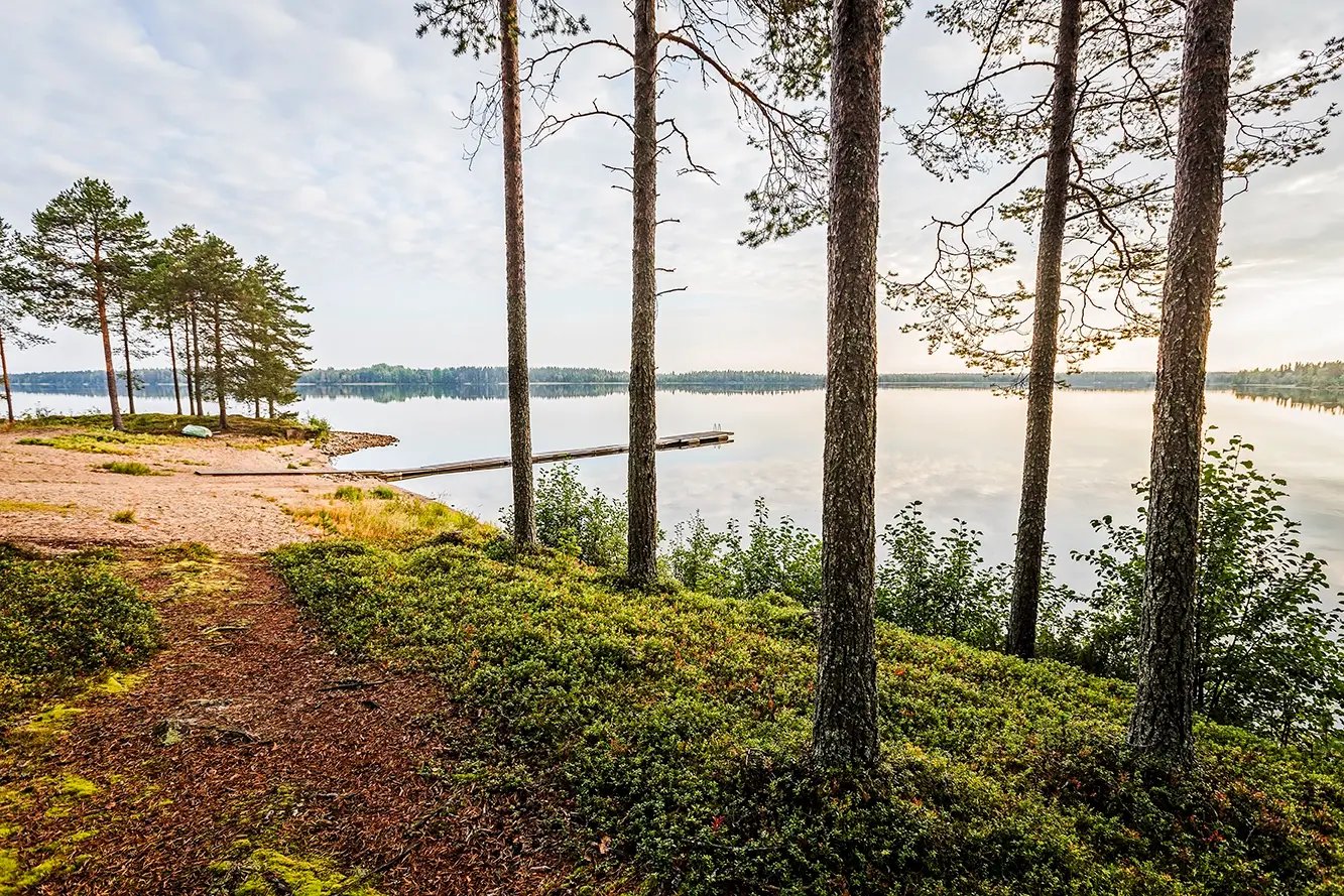 Ausflug in die finnische Natur inkl. Sammeln von saisonalen Früchten 