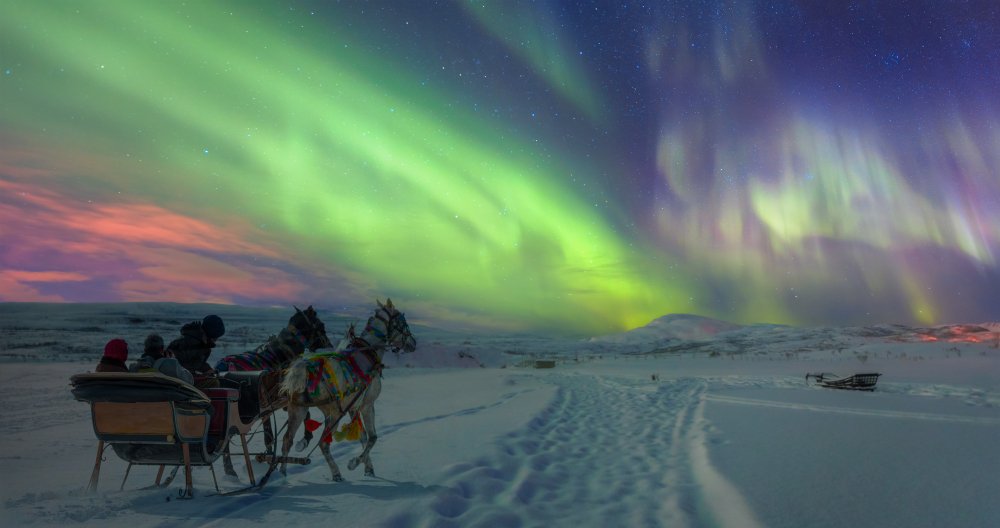 Polarlichterjagd mit der Pferdekutsche