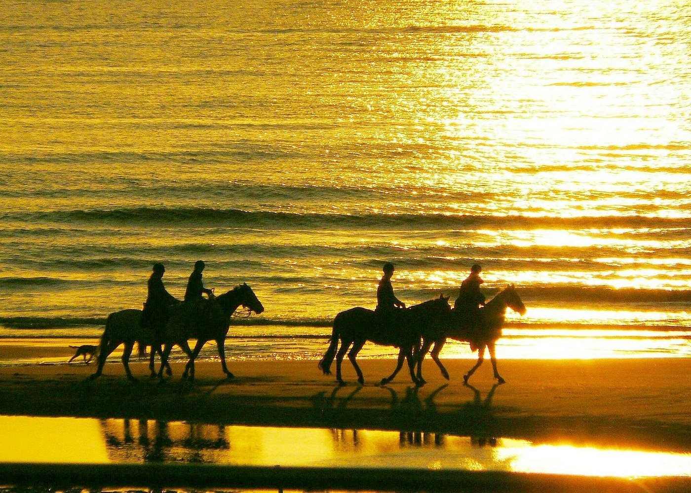 Reiten am Strand