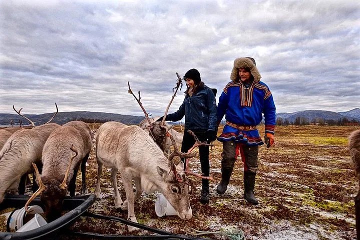 Finnische Rentierfarm Rovaniemi
