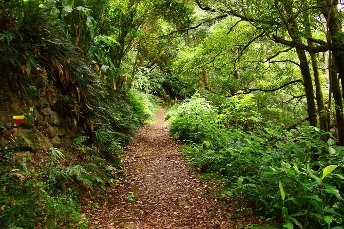 Geführte Wanderung Sanguinho (Ponta Delgada)