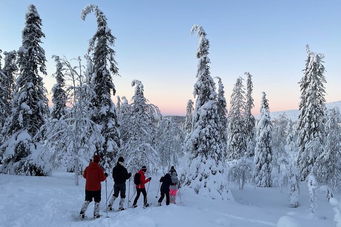 Schneeschuhwanderung im Pallas-Yllästunturi-Nationalpark ab Levi