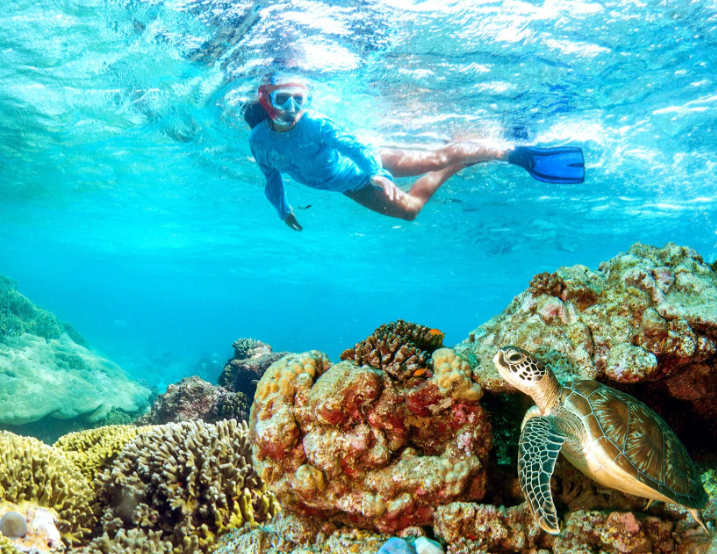 Schnorchelausflug zum Riff der Insel Sal