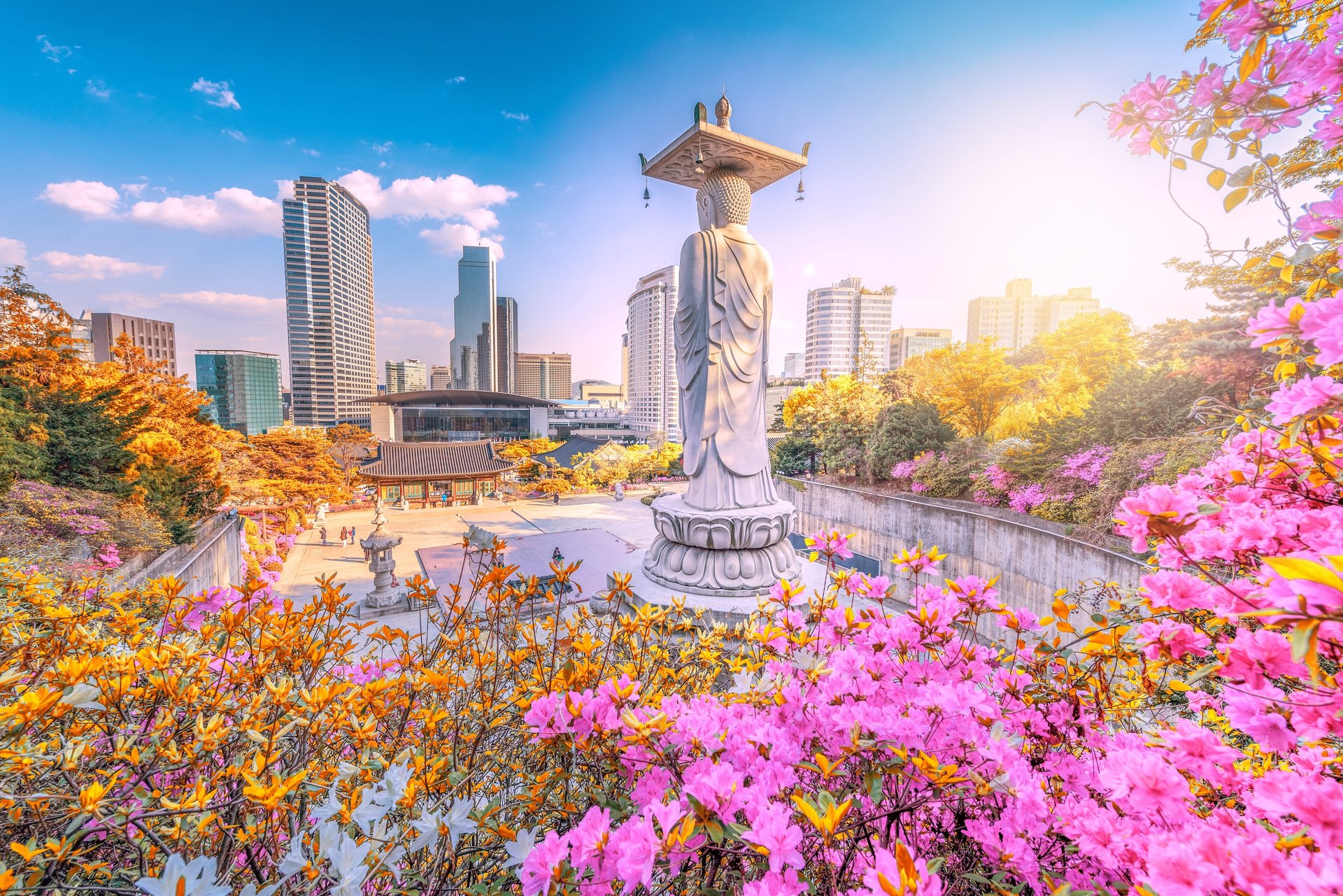 Tag 4: Lotte World Tower, Seokchon Lake, Gangnam, K-Star Road & Apgujeong Rodeo Street