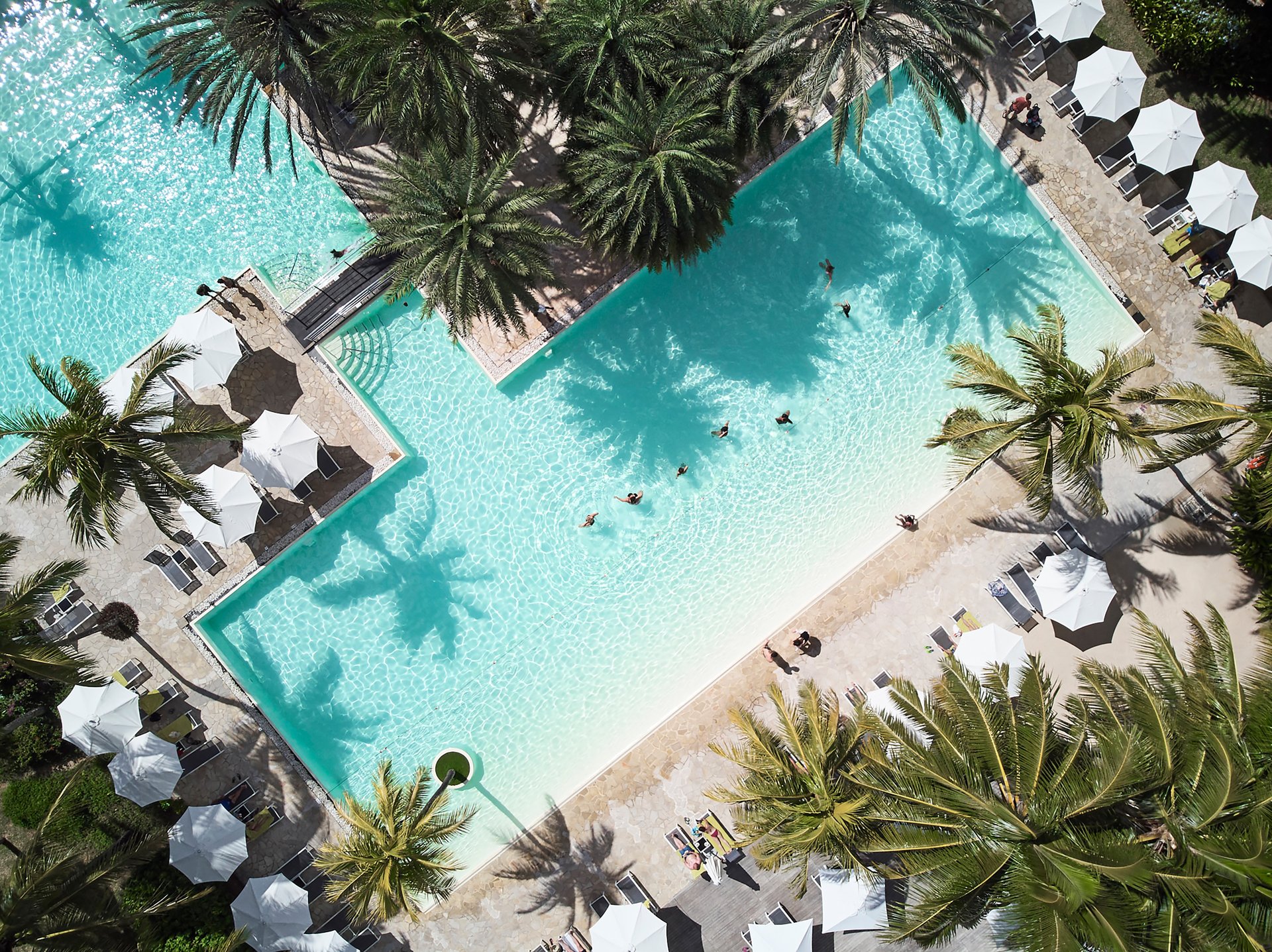 The Ravenala Attitude (Nordwestküste)