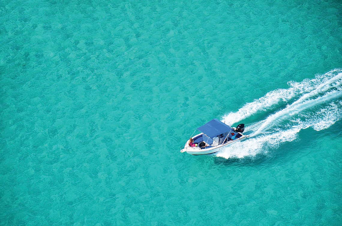 Speedboat-Tour entlang der Westküste inkl. Delfinbeobachtung