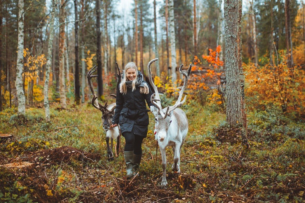 Leichte Rentier-Wanderung (ca. 2 km)