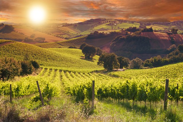 Ankommen im Herzen der Toskana – ländliche Ruhe und letzte Genussmomente im Val d’Elsa