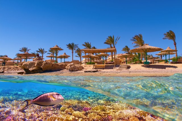 Badeurlaub am Roten Meer: Entspannung, Sonne & All-Inclusive-Komfort