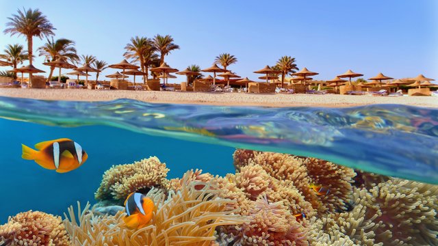 Entspannung am Roten Meer: Badeurlaub in der Region Hurghada im 4* Strandhotel mit All Inclusive