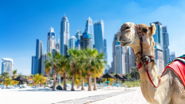Zwischen Wüstenglanz und Wolkenkratzern: Dein Auftakt in Dubai