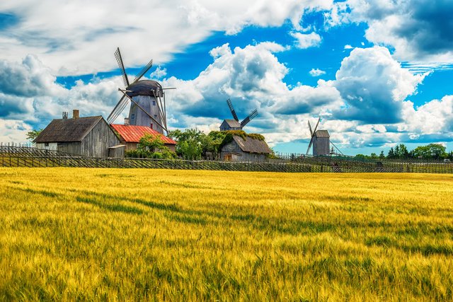 Mit dem Mietwagen nach Saaremaa – Ursprüngliche Inselkultur & karge Naturschönheit