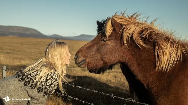 Abschied von Island: Letzter Abend in Reykjavík & entspannter Heimreisetag