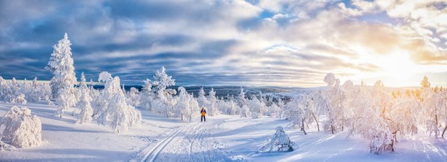 Winterzauber in Rovaniemi: Schneeabenteuer, Polarlichter & nordisches Flair