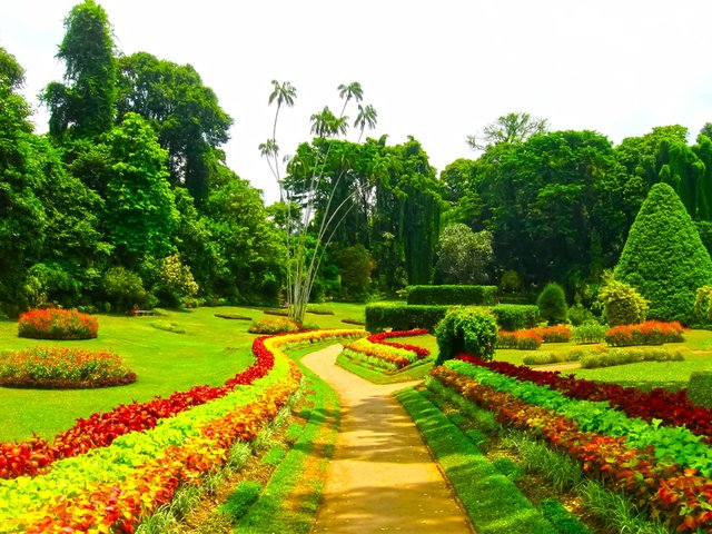 Botanischer Garten in Peradeniya & Abschied von Sri Lanka